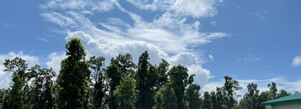 Happy Hippy Hub Hero Image